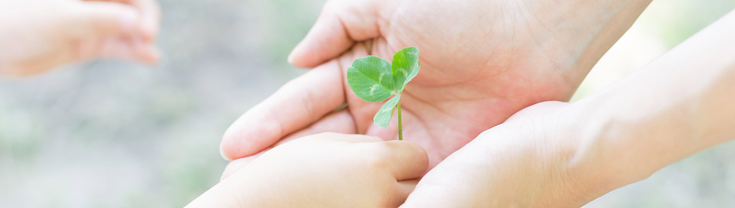 害虫、害獣駆除